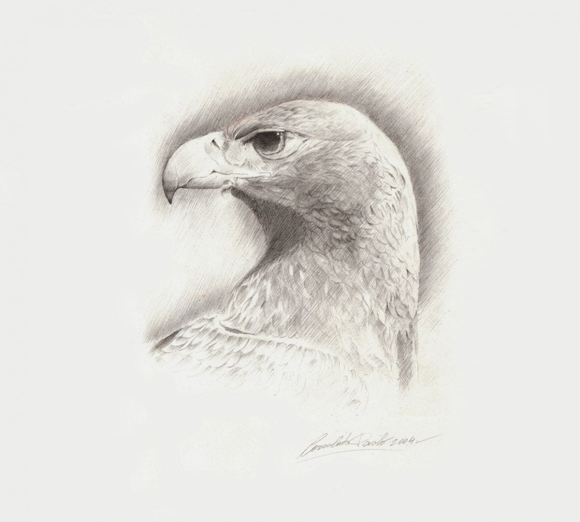 Matita5_Aquila