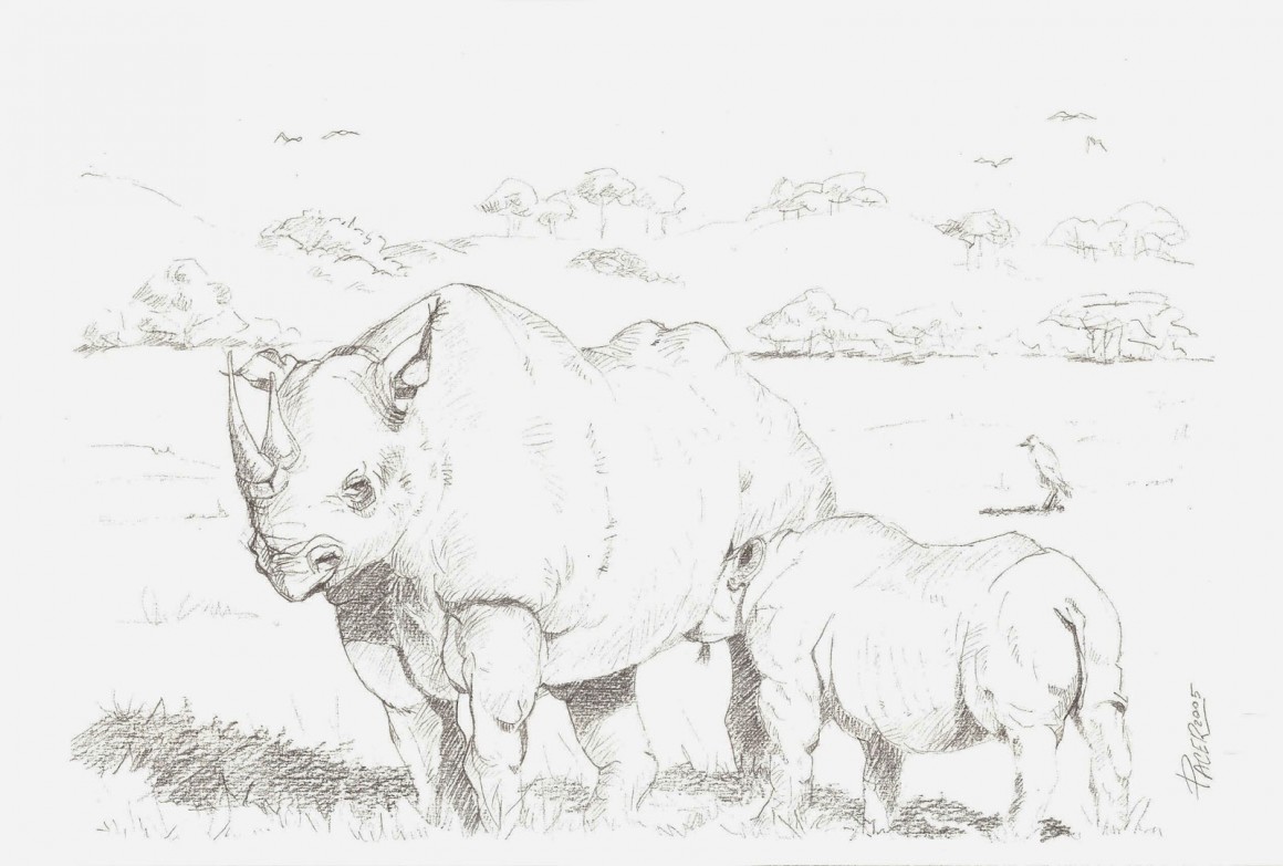 Matita8_Rino